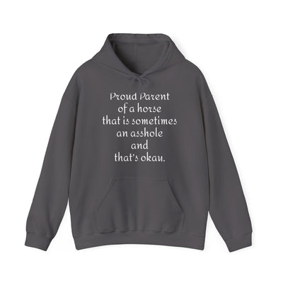 Proud Parent Hooded Sweatshirt