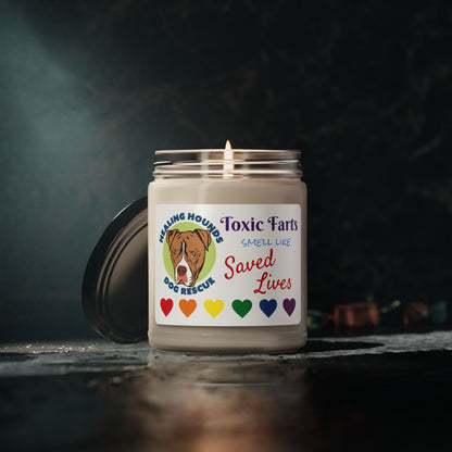 Toxic Farts Candle, 9oz