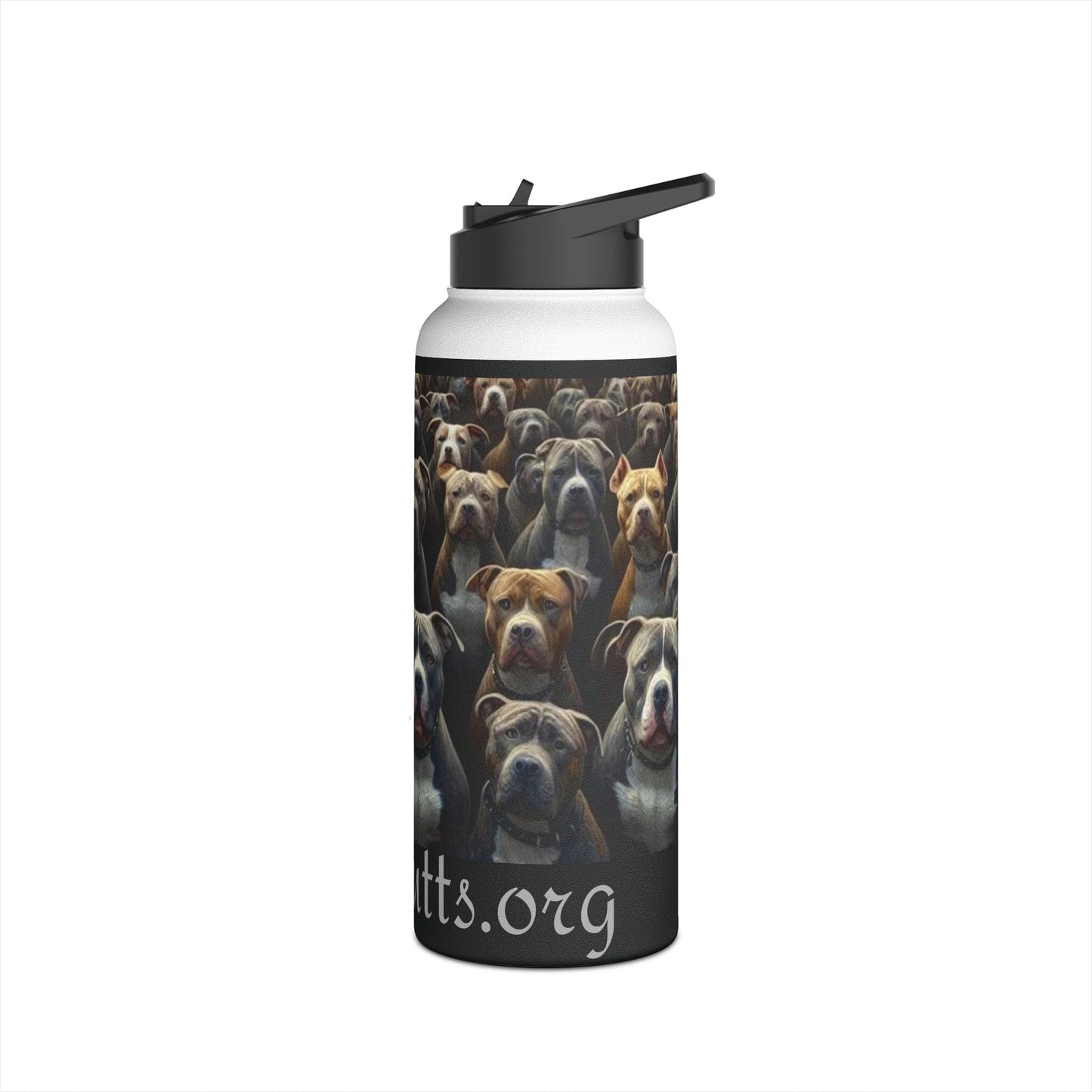 For All My Dogs Water Bottle