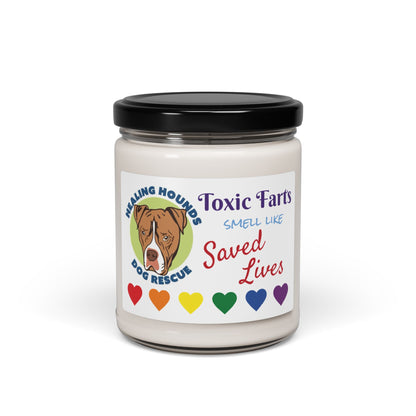 Toxic Farts Candle, 9oz