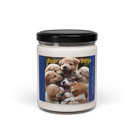 Bear Burps Candle, 9oz