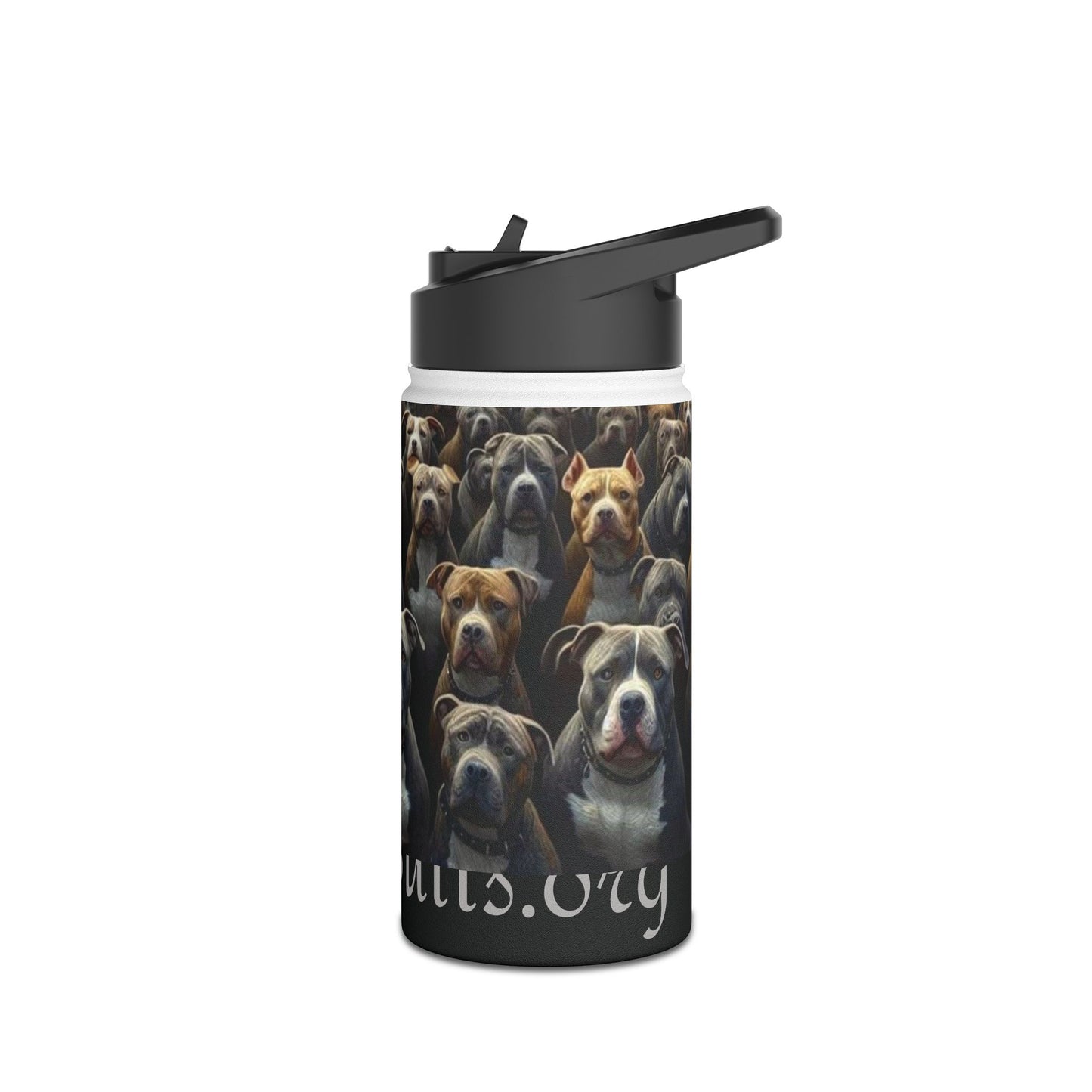 For All My Dogs Water Bottle